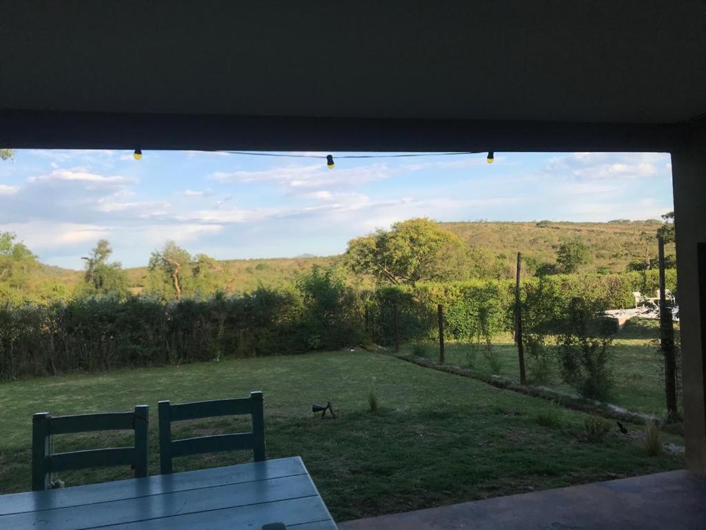 einen Blick aus dem Fenster eines Gartens mit einem Hund in der Unterkunft casa con pileta grande en Castellanos San Lorenzo ,paisaje unico, tranquilidad y comodidad in Salta