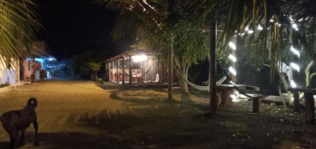 Fotografie z fotogalerie ubytování OCEANSURF hosteria v destinaci Mompiche