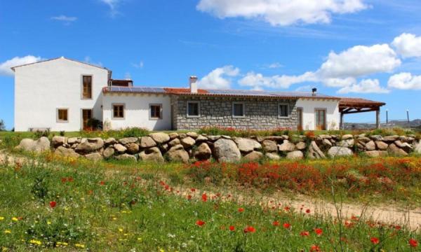 una casa dietro un muro di pietra e un campo di fiori di Tenute Testoni Agriturismo e B&B a Bassacutena