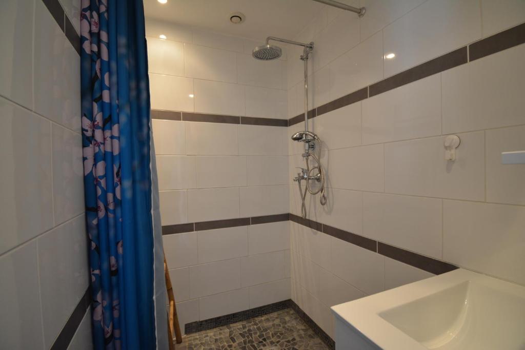 Kúpeľňa v ubytovaní Grand studio indépendant avec jardin