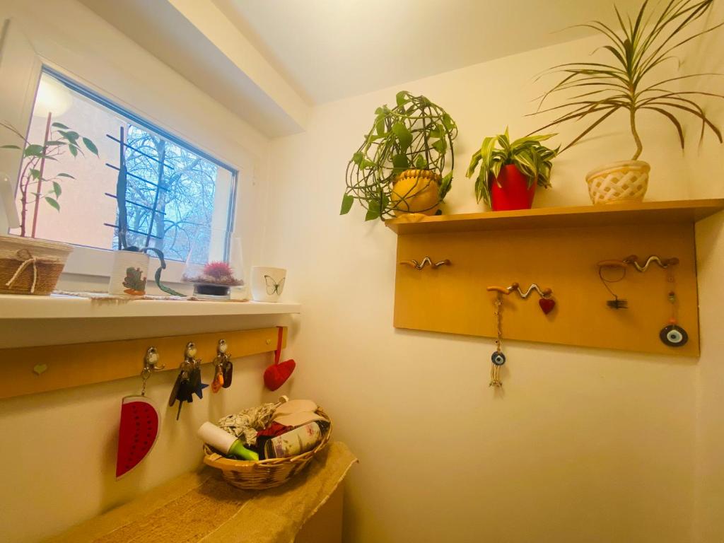 Fotografie z fotogalerie ubytování Funkcionalna garsonjera u Zemunu v destinaci Zemun