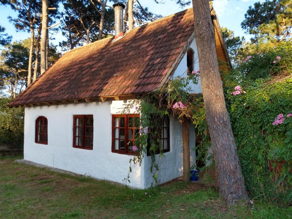 una pequeña casa blanca con un techo oxidado en Cabaña del bosque 5 personas equipada totalmente, en La Paloma