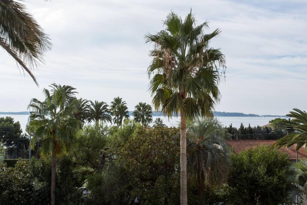Zdjęcie z galerii obiektu Spacious 1 bedroom flat with SEA VIEW w Cannes