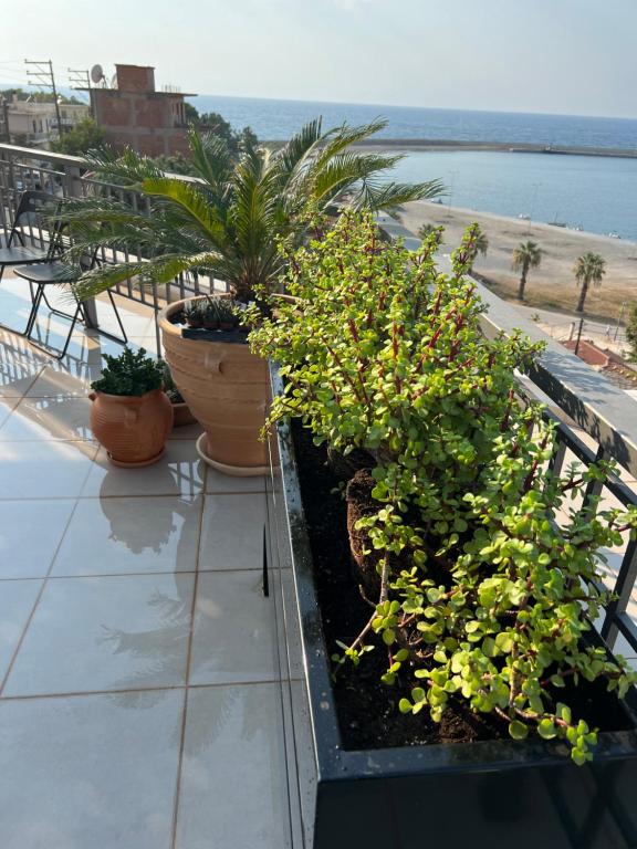 Příroda nedaleko apartmánu