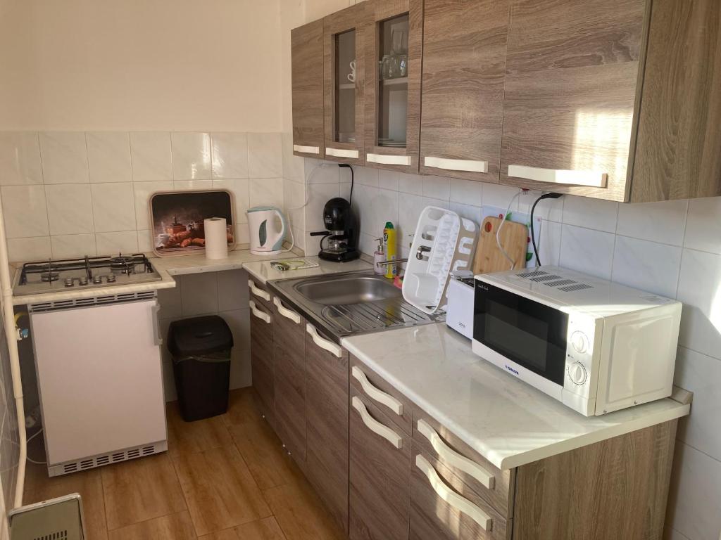 mała kuchnia z kuchenką mikrofalową i zlewem w obiekcie Fürdő Apartman w mieście Makó