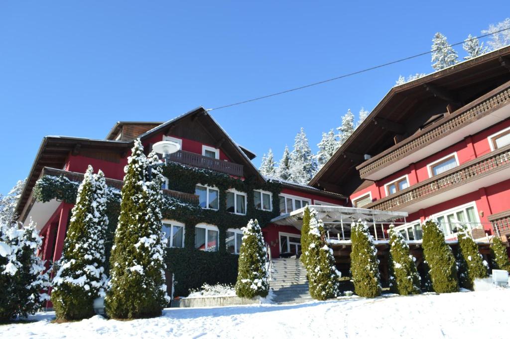 un hotel con alberi di Natale nella neve di Landidyll-Hotel Nudelbacher a Feldkirchen in Kärnten