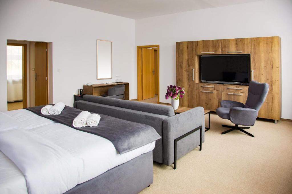 TV a/nebo společenská místnost v ubytování Family Resort Lučivná