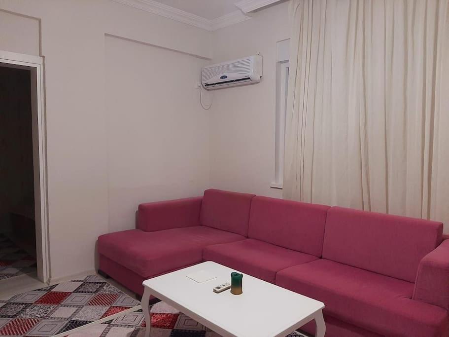 New renovated 1+1 flat in Kültür في أنطاليا: غرفة معيشة مع أريكة وردية وطاولة