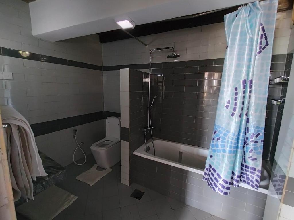 a bathroom with a tub and a toilet and a shower at MANUDI Glenfallsedge Rest in Nuwara Eliya
