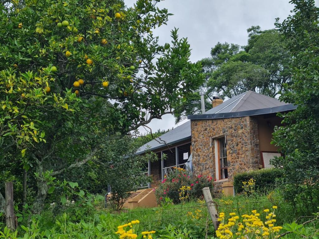 a stone house with a metal roof in a garden at A2B Eco Farm Guest House in Byrne