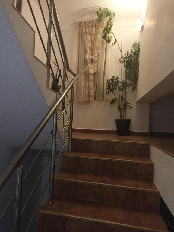 Fotografie z fotogalerie ubytování Petar Guest House v destinaci Bansko
