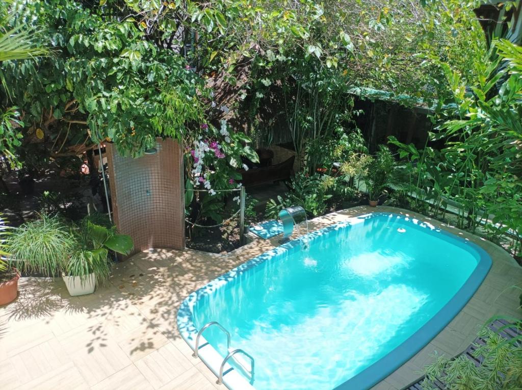 a swimming pool in the middle of a garden at Pousada Coqueiro do Caitá in Morro de São Paulo