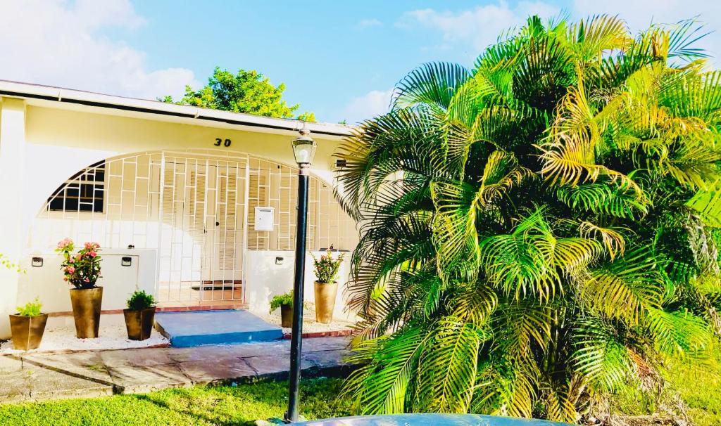 a palm tree in front of a house at SugaLove Villa 30 Flamboyant Ave in Saint James