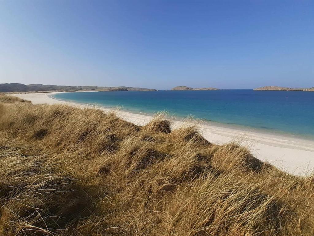 a beach with tall grass next to a body of water at Logan Home in Stornoway