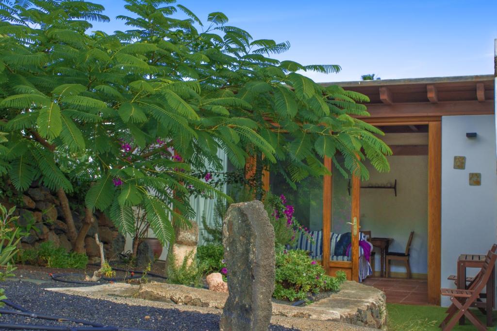 un jardin avec une tombe en pierre et des arbres ainsi qu'une maison dans l'établissement Casa BellaVista de Haría, à Haría