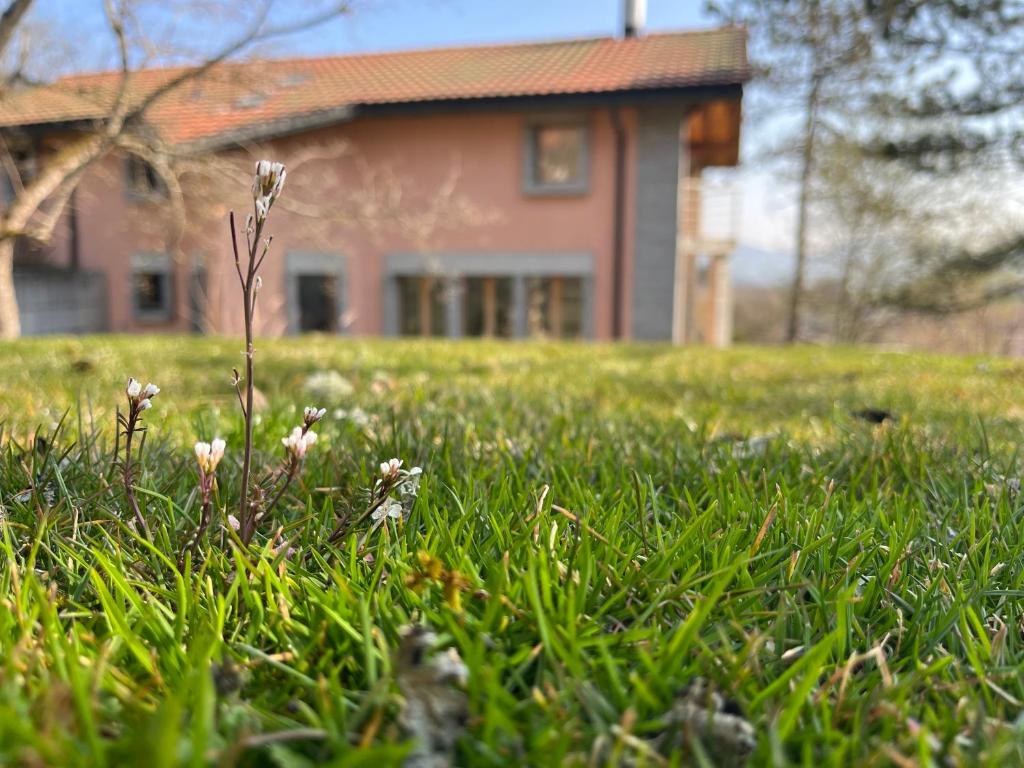 a field of grass with a house in the background at the Jad B&B in Comoret