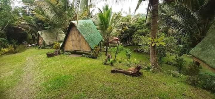 a small house with a green roof in the grass at Camp Mayagay Tanay Rizal in Sampalok