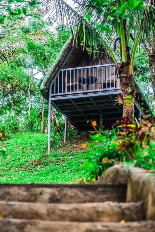 Zahrada ubytování Camp Mayagay Tanay Rizal