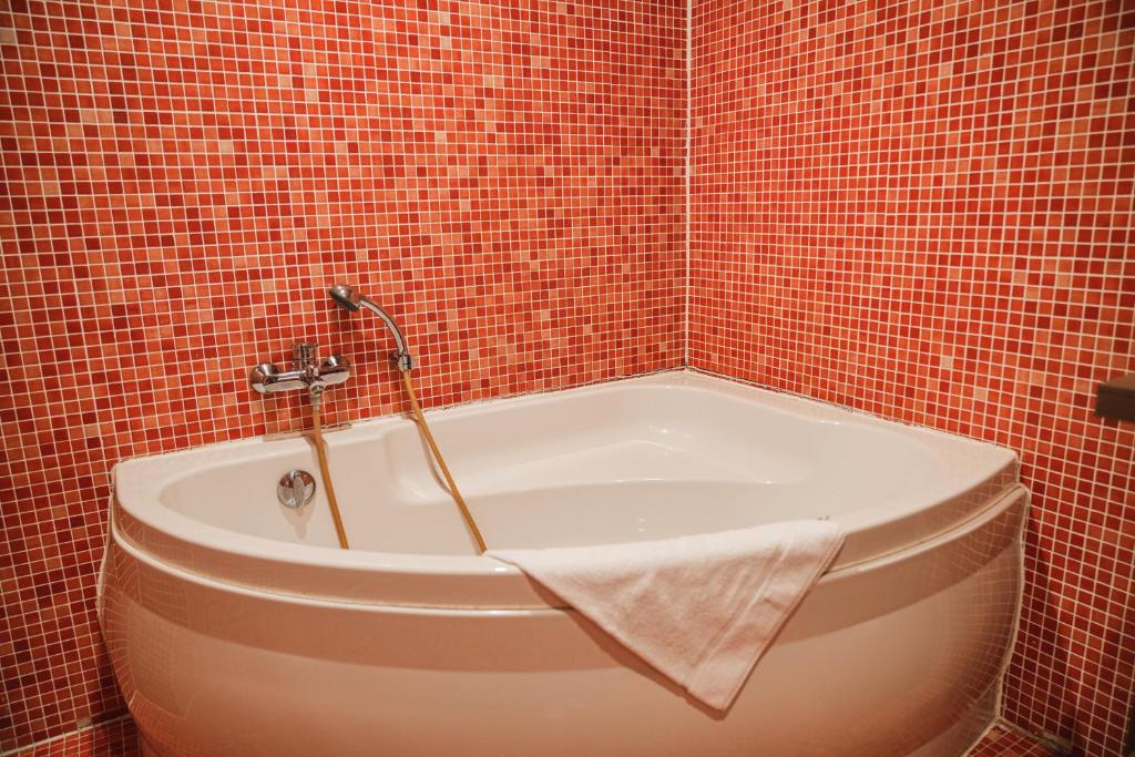 Koupelna v ubytování Hotel Louisa