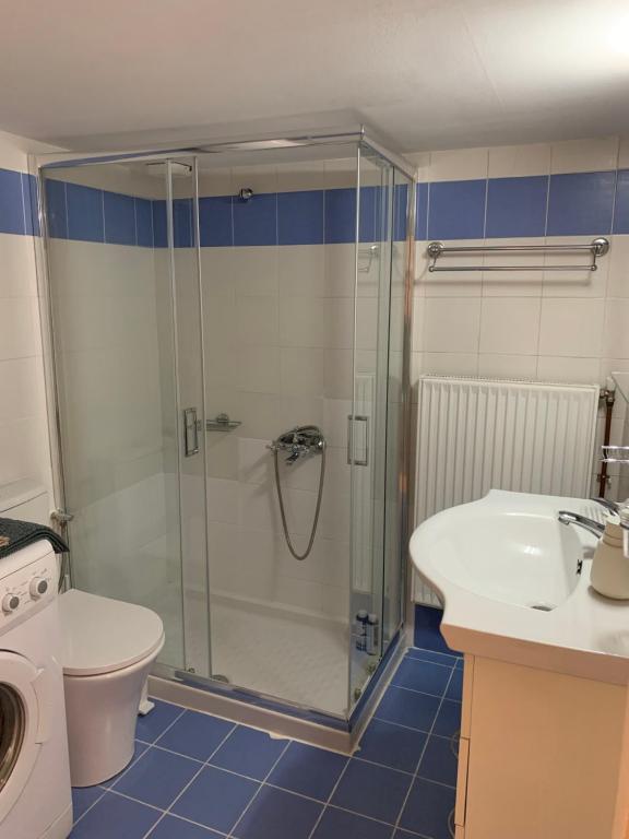 a bathroom with a shower and a toilet and a sink at Anavros beach house in Volos