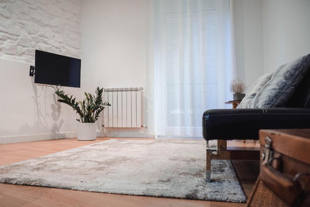 Televízia a/alebo spoločenská miestnosť v ubytovaní Apartamento Zurriola by SanSe Holidays
