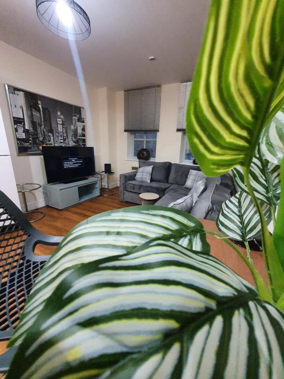 View of Smart Living Apartments, Bradford (updated prices 2026)