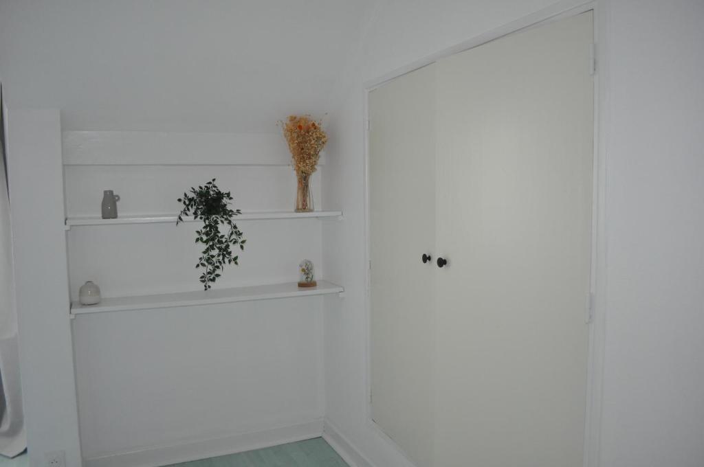 a white room with shelves with plants on them at Charmant T3 au cœur de Agen Sud in Agen
