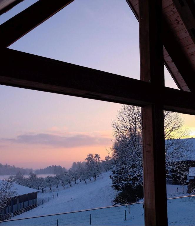 Trautesheim Ferienwohnungen - 3