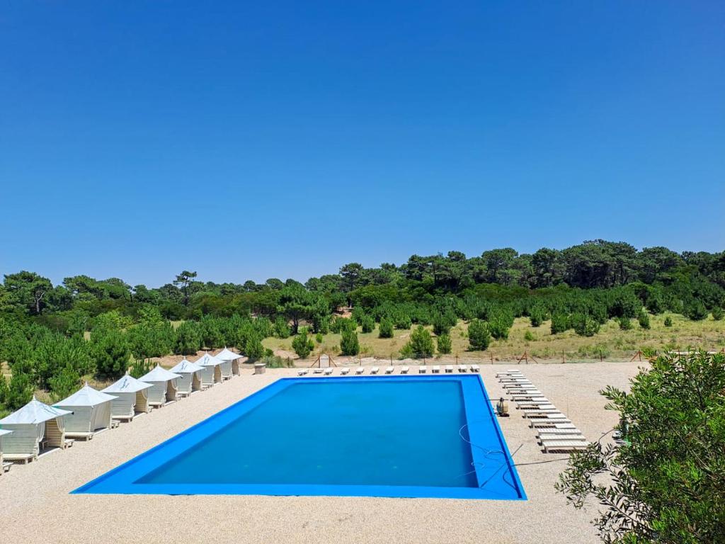 una piscina azul con tumbonas y árboles en Kimba Bosque en Mar de las Pampas