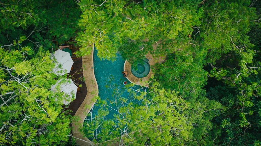 an aerial view of a swimming pool in a forest at Hotel Bosque del Mar Playa Hermosa in Playa Hermosa