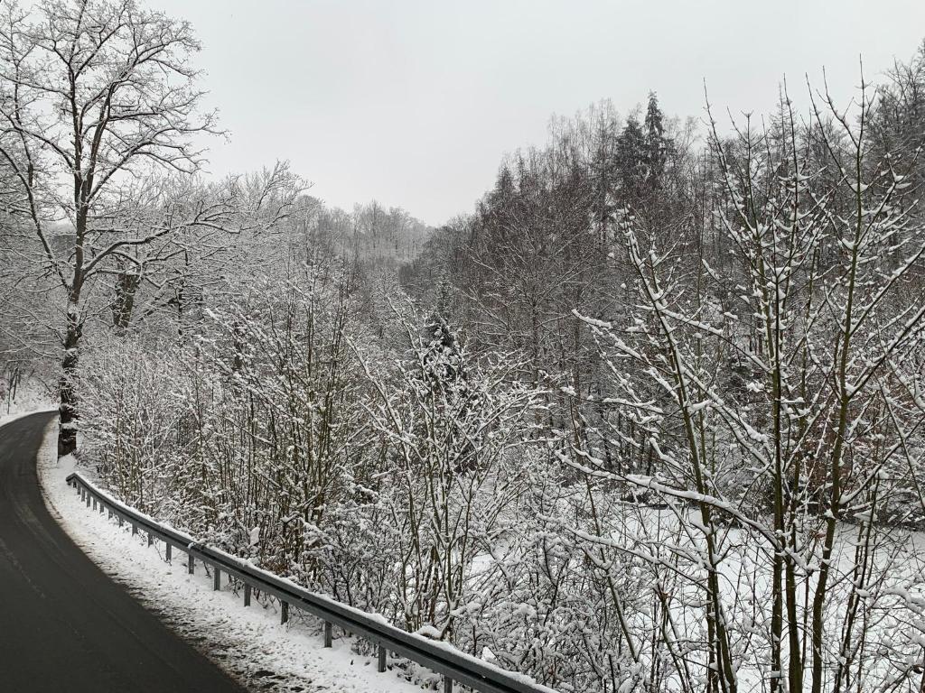 L'établissement Ferienhaus Andrea am Bodetal en hiver