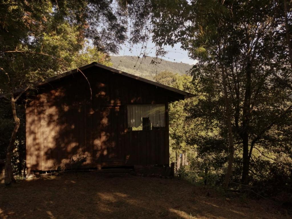 una pequeña cabaña en medio de un bosque en Valchi Hospedaje de Montaña, en Copey