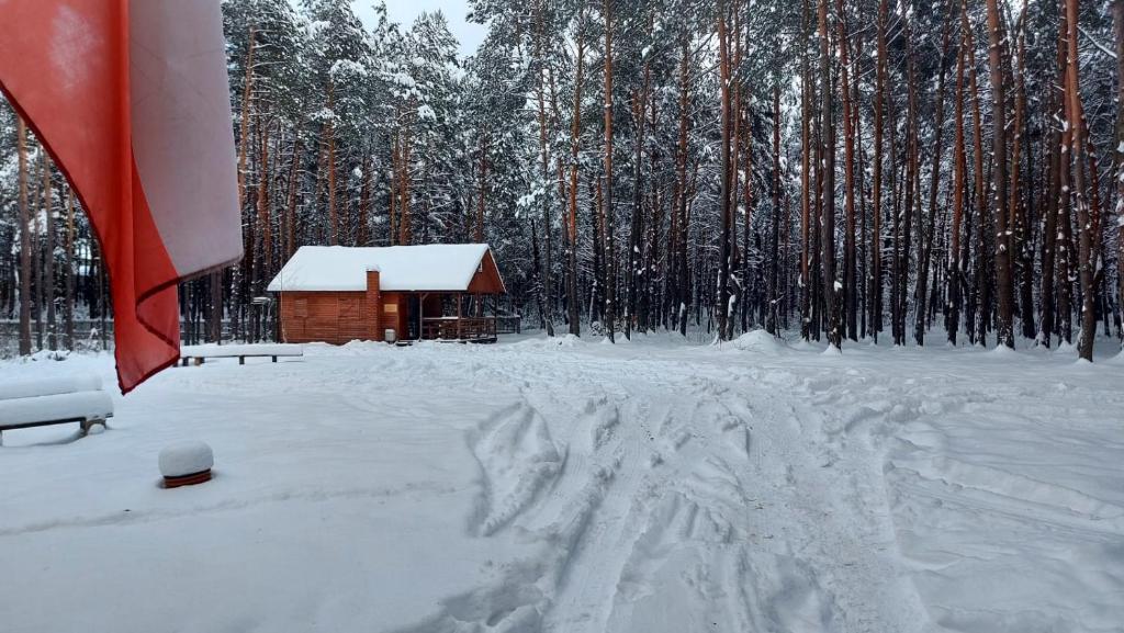 Domki w Sosnowym Lesie - Chalet De Trois Chambres