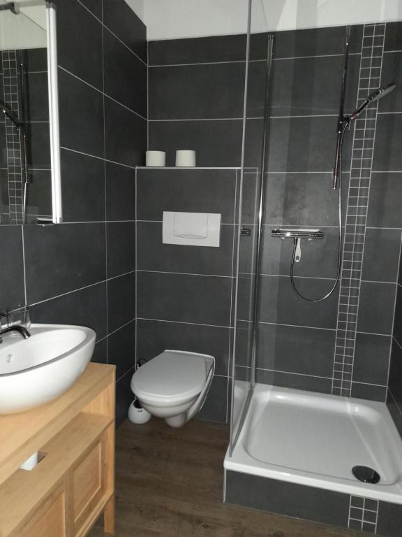 un bagno con wc, lavandino e doccia di Studio chez un vigneron au village au 2ème étage sans ascenseur a Villeneuve