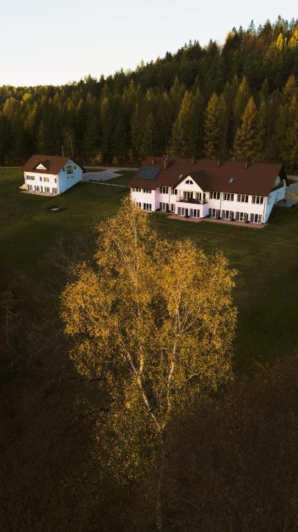 Príroda v okolí of the bed and breakfast