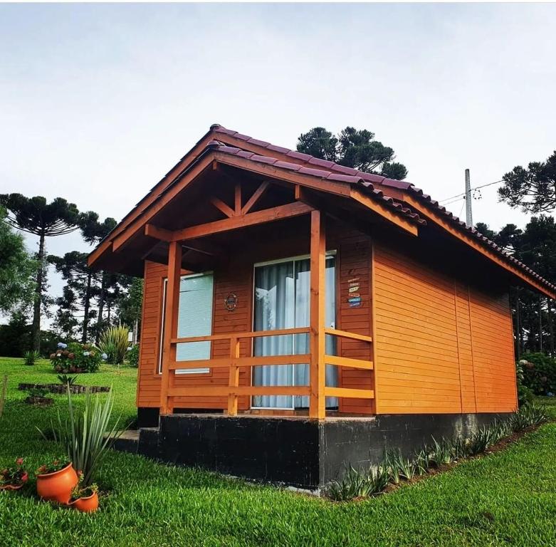 une petite cabane en bois dans un champ d'herbe dans l'établissement Pousada Recanto Das Araucárias, à Bocaina do Sul