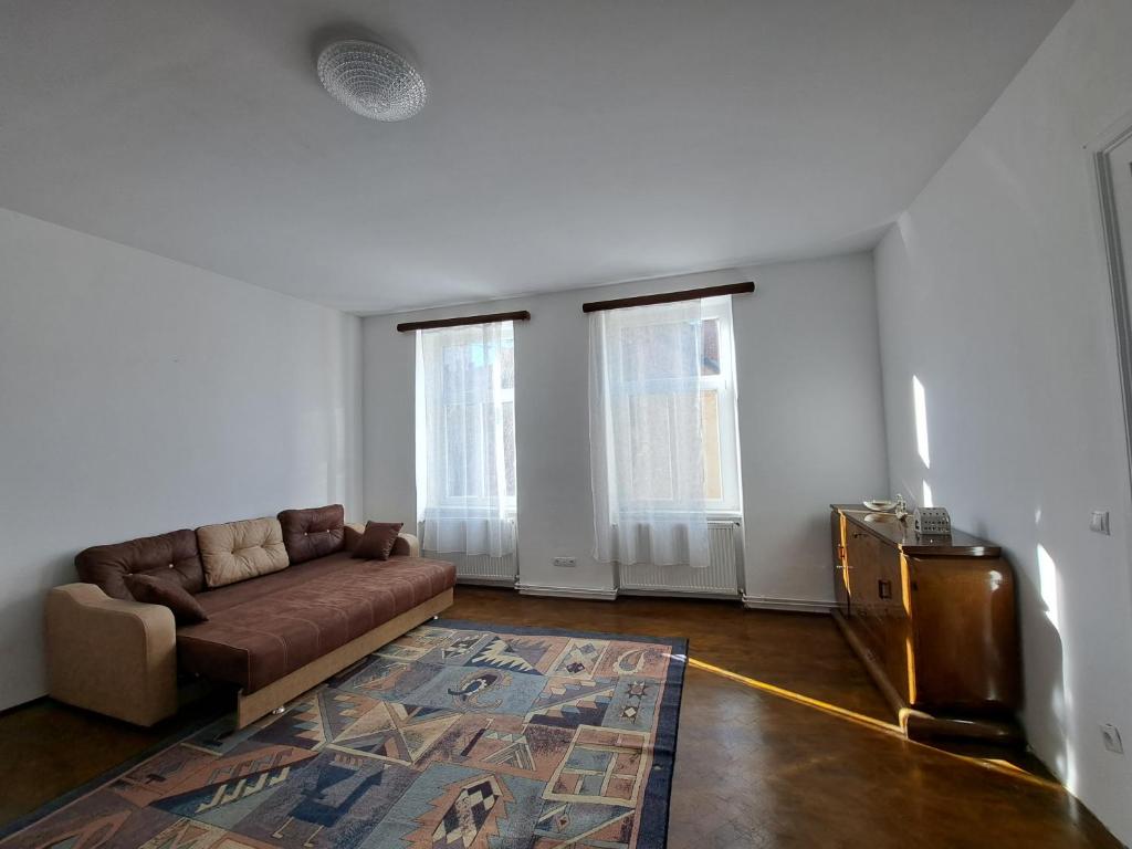Χώρος καθιστικού στο Cozy apartment in the heart of Sibiu