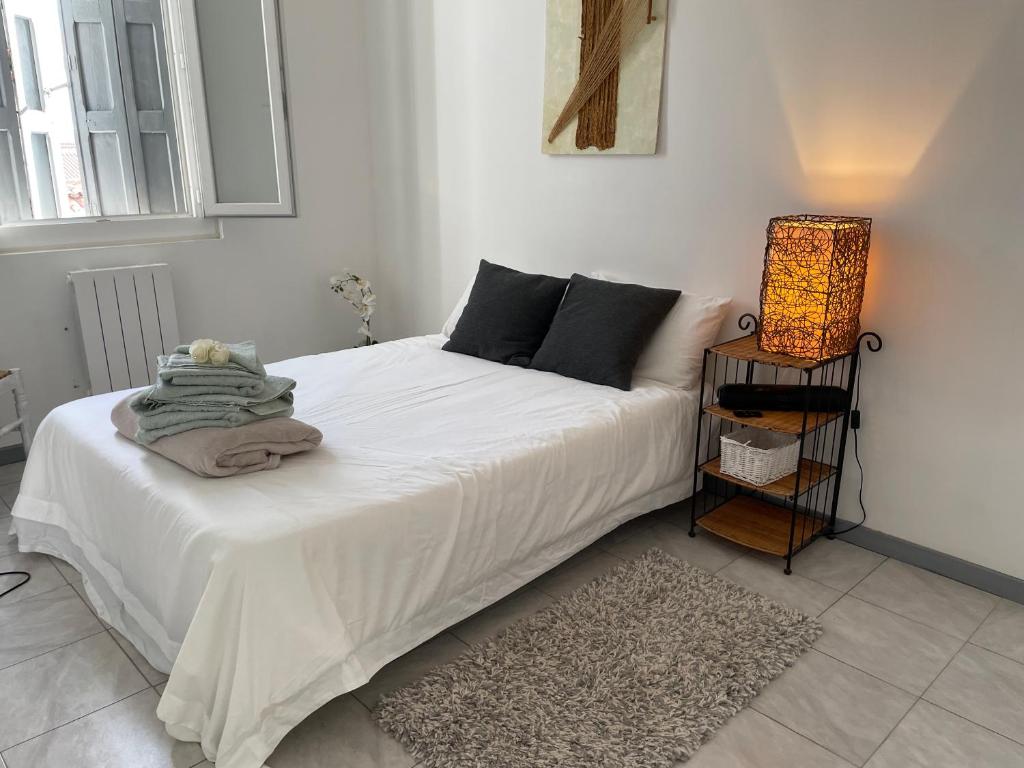 Centre Carcassonne apartment with private sunny terrace 2