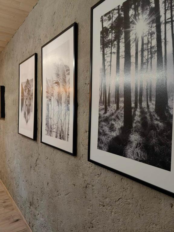 Kép Chata Stella szállásáról Menguszfalván a galériában