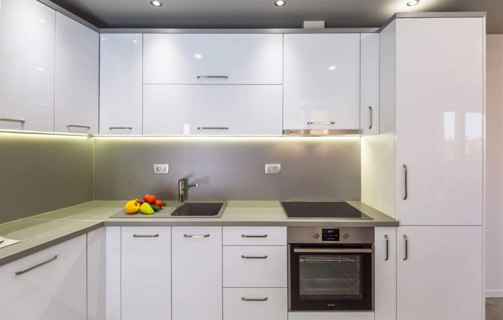 Kuchyňa alebo kuchynka v ubytovaní Apartman dva