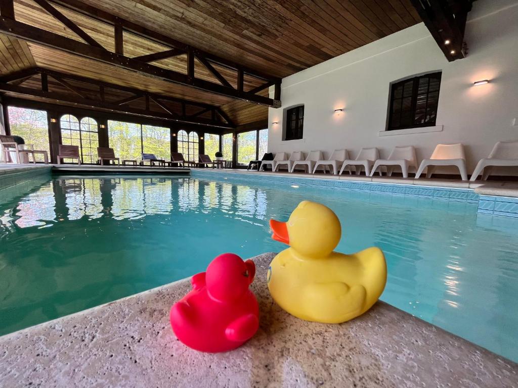 dos patos de goma sentados junto a una piscina en Le Tri Renard Spa en Spa