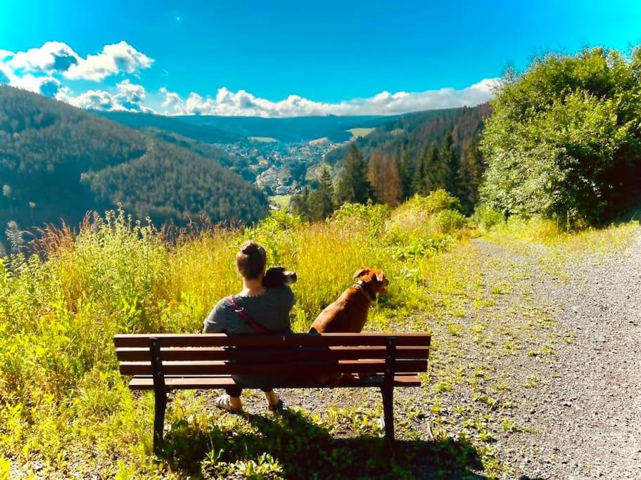 un hombre sentado en un banco con un perro en Hundeparadies Waldblick Lauenstein, en Ludwigsstadt
