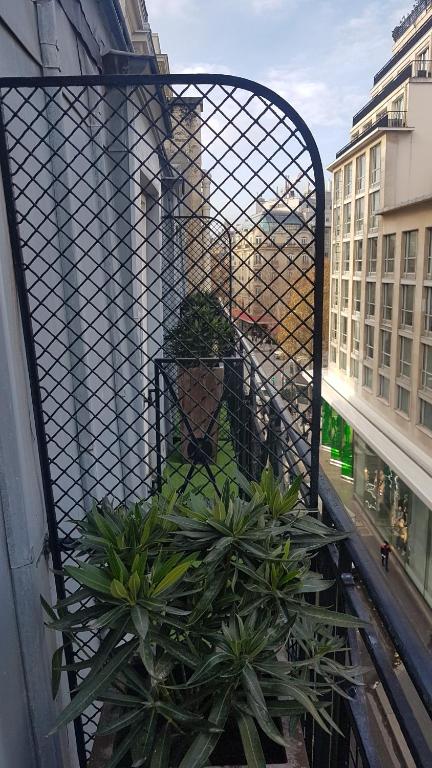 Hôtel Le Colisée - Resim 33