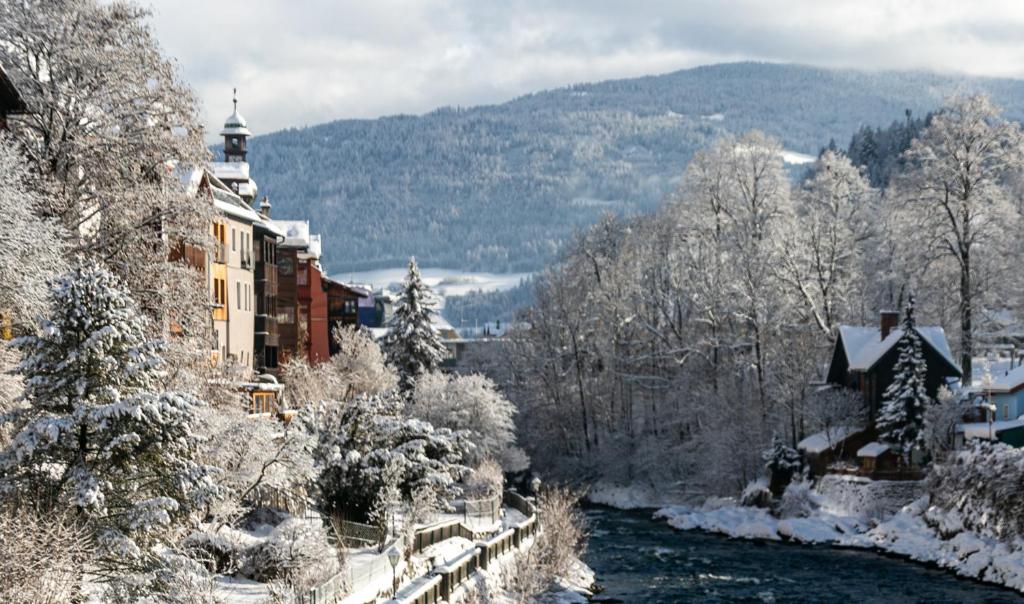 Příroda nedaleko apartmánu