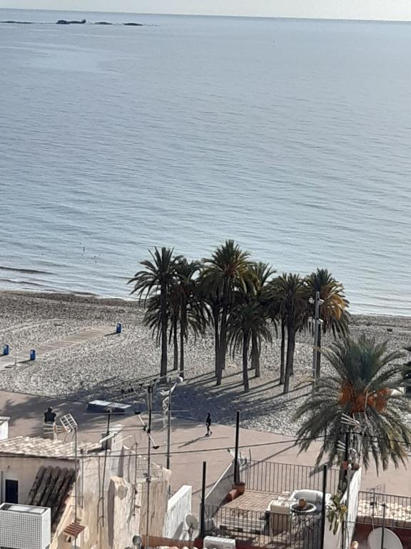 een uitzicht op een strand met palmbomen en de oceaan bij Grand appart 4,6,8 personnes vue directe sur mer in Villajoyosa