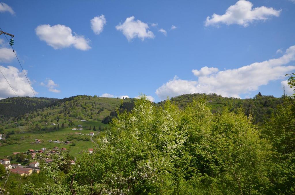 Zdjęcie z galerii obiektu Appartement situé entre La Bresse et Gérardmer - 13 minutes des pistes de ski - 2 personnes - Cuisine équipé avec Four, plaque de cuisson, lave-vaisselle, Machine à café, Raclette w mieście La Bresse