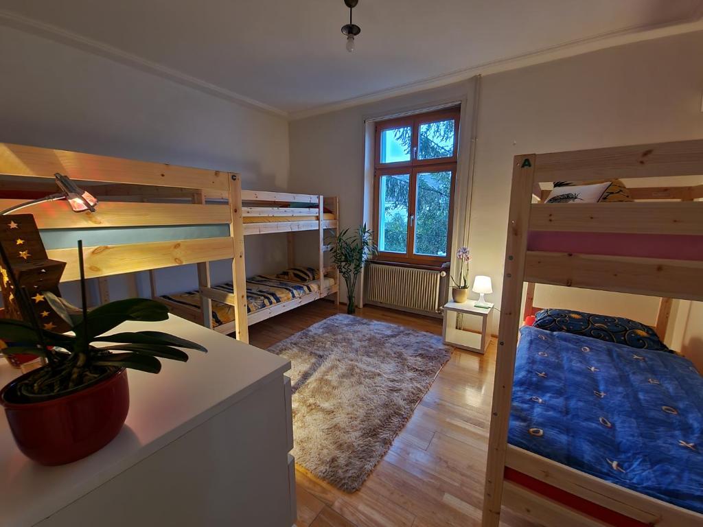 Palanda nebo palandy na pokoji v ubytování Private room with 6 beds, for groups or for family