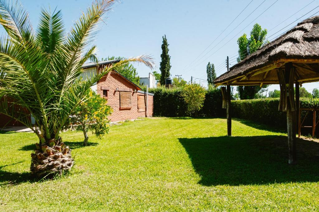 una palmera en un patio junto a una casa en Cabañas Huidun en San Rafael