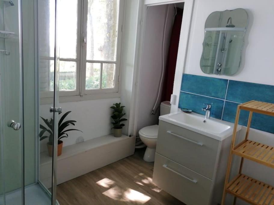 łazienka z umywalką, toaletą i oknem w obiekcie Appartement indépendant dans grande maison w mieście Pouilly-sur-Loire