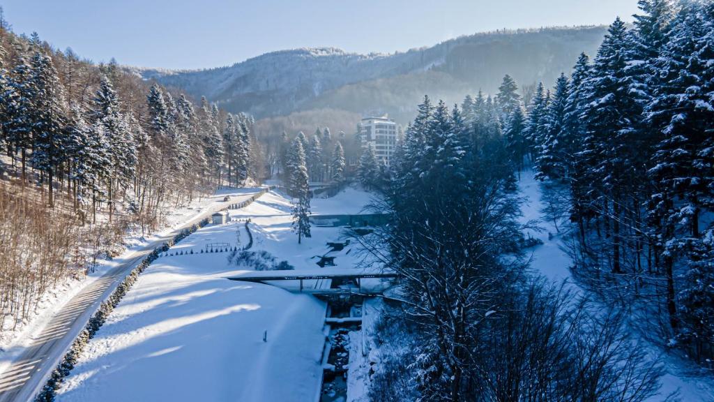 Φυσικό τοπίο κοντά σε αυτό το διαμέρισμα